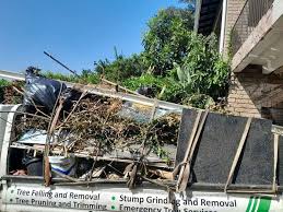 Best Hoarding Cleanup  in Berlin, MD